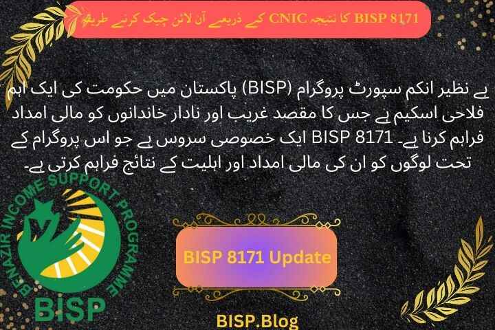 BISP 8171 result check online by CNIC 2024: Easy and Simple