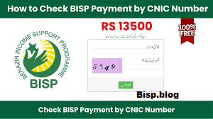 How Do I Check My BISP Payment By CNIC Number?