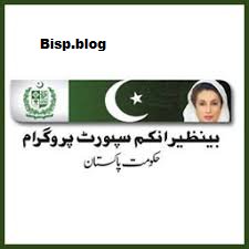 How Do I Check My BISP Payment By CNIC Number?
