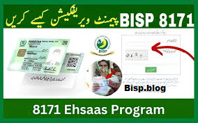 Bisp Payment Verification Method March 2026