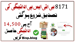 Bisp Payment Verification Method March 2026