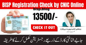 Online Registration BISP 2026 Online Apply