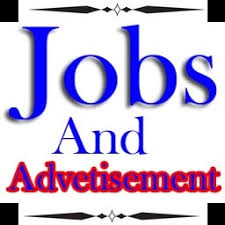 Government Jobs in Pakistan Today Online Apply