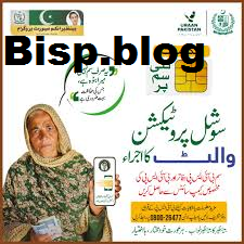 Bisp 8171 Complete Guide to Check CNIC & Eligibility